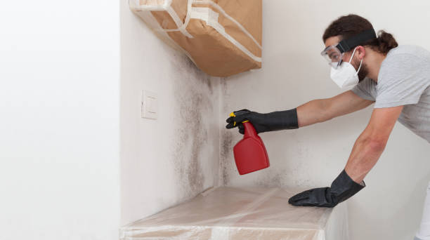 Professional Attic Mold Removal technician working in Ada, MI